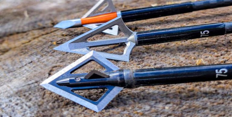 Best Broadheads for Elk