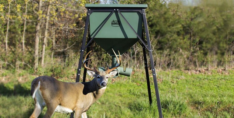 Best Deer Feeder