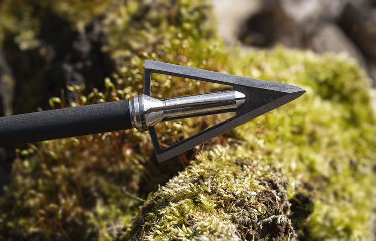 Best Fixed Blade Broadheads