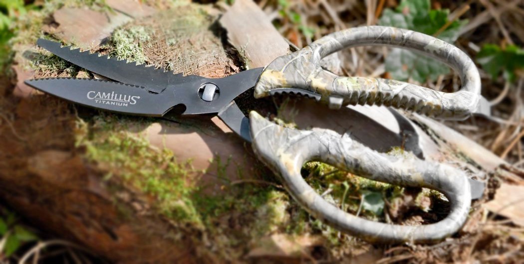 Best Game Shears for Squirrels and Small Game