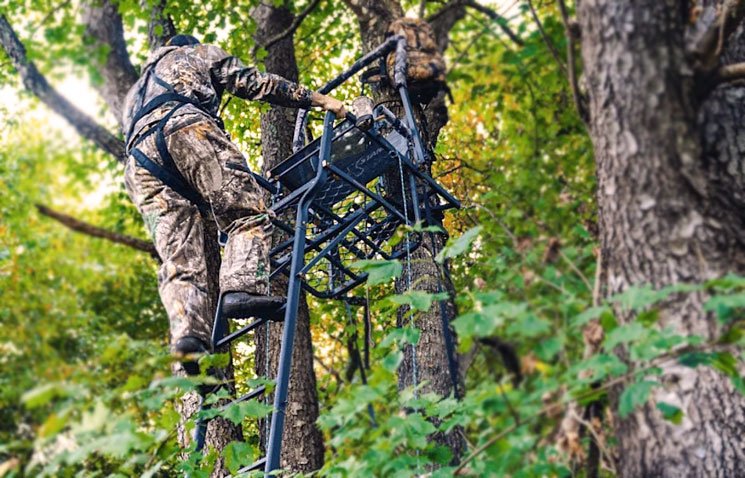 Best Ladder Stands for Bow Hunting