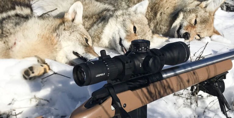 Best Scope for Coyote Hunting