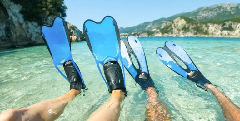 Best Snorkeling Fins