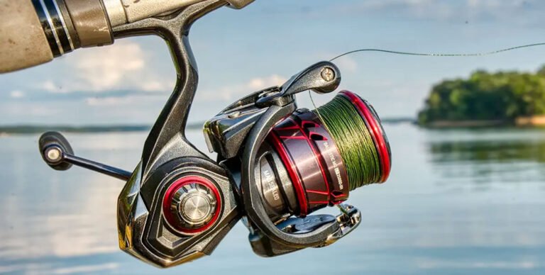 Best Spinning Reels