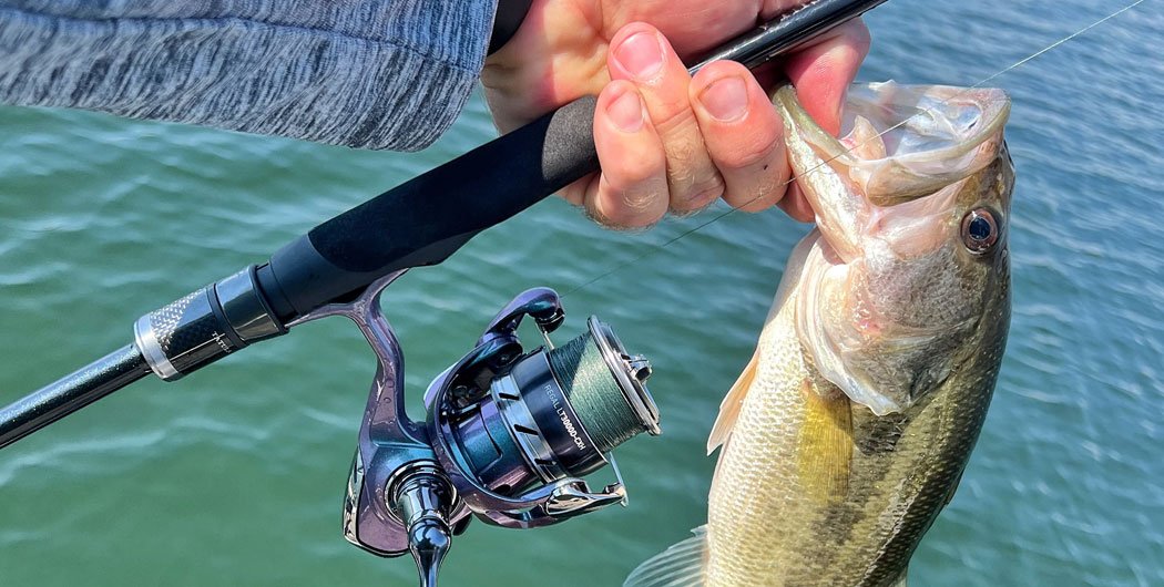 Best Spinning Reels Under $100