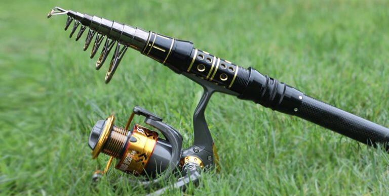 Best Telescopic Fishing Rod